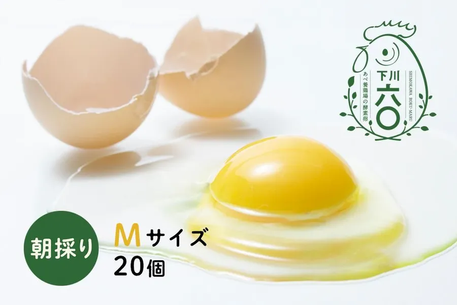 レモンイエローの黄身。あべ養鶏場の下川六〇酵素卵