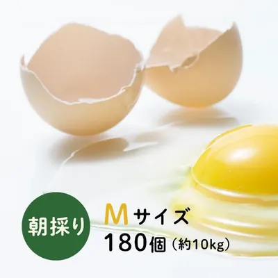 下川六〇酵素卵 Mサイズ 180個（約10kg）