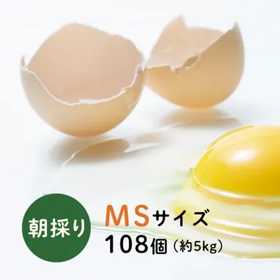 下川六〇酵素卵 MSサイズ 108個（約5kg）