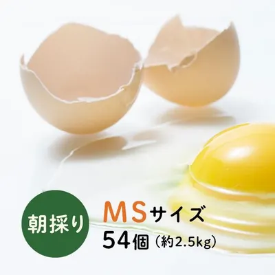 下川六〇酵素卵 MSサイズ 54個（約2.5kg）
